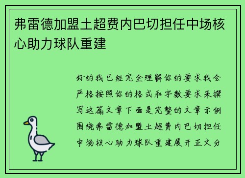 弗雷德加盟土超费内巴切担任中场核心助力球队重建
